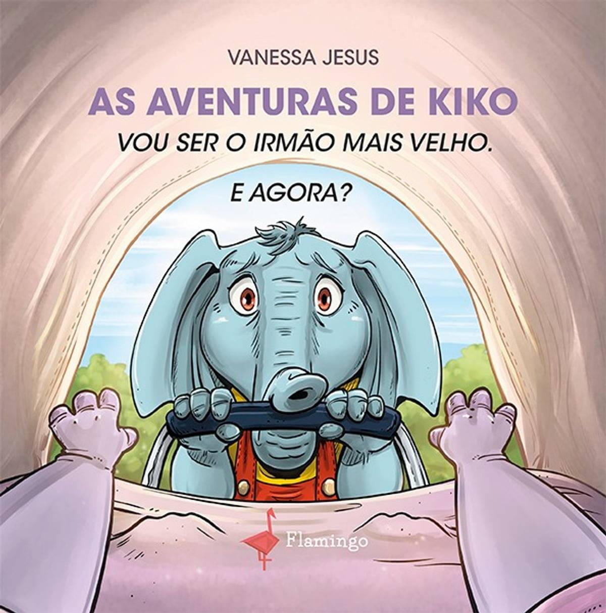 as-aventuras-do-kiko-vou-ser-o-irmao-mais-velho-e-agora